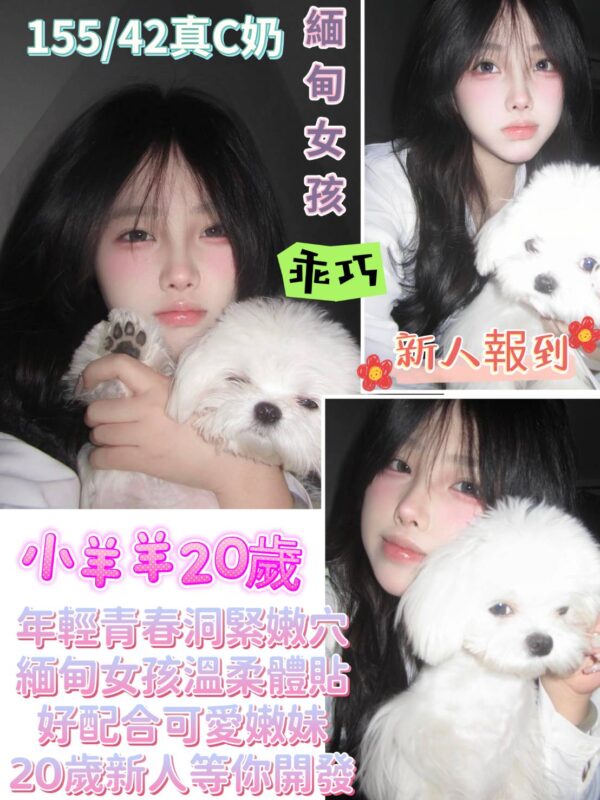 台南定點妹